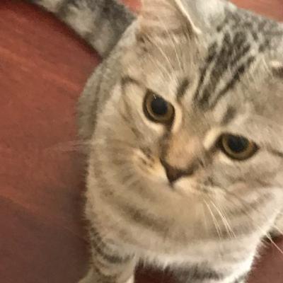 Size De Oluyor Mu? Takılı Kaldığımız Şarkılar