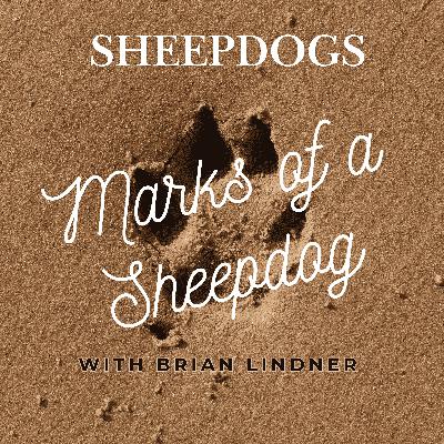 Ep. 4: Marks of a Sheepdog with Brian Lindner