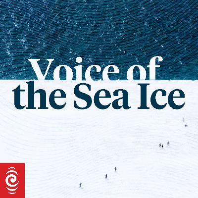 Introducing: Voice of the Sea Ice
