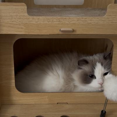 试图厘清“封存档案”的前因后果