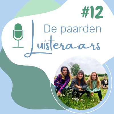 Afl 12 ▪︎ Hoe leert je paard?