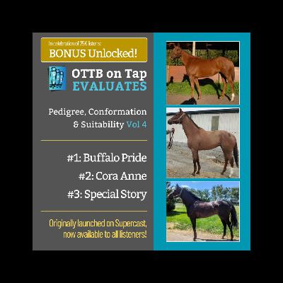 S2 E22: BONUS: Unlocked! OTTB on Tap Evaluates Vol. 4 — From Lightly Raced to Warhorses