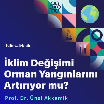 Orman Yangınlarının Nedenleri, İklim Değişimiyle İlgisi ve Ülkemizdeki Yangın Riskleri