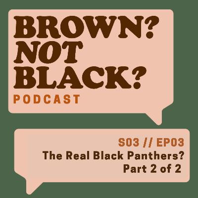 Episode 3: The Real Black Panthers? Part 2 of 2 Episode 3: The Real Black Panthers? Part 2 of 2