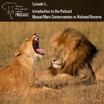 African Photography Safaris Podcast Episode 1 African Photography Safaris Podcast Episode 1