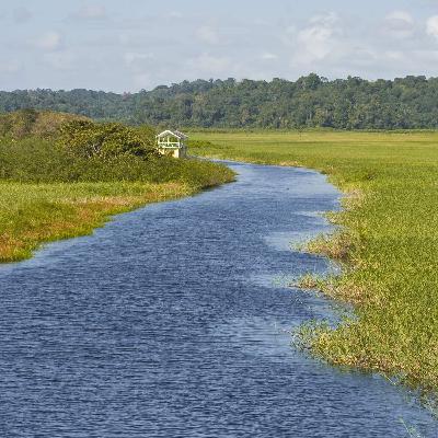 Séjourner en écolodge flottant sur les marais de Kaw – Guyane Séjourner en écolodge flottant sur les marais de Kaw – Guyane