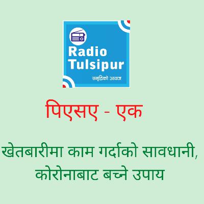 खेतबारीमा काम गर्दा साबधानी