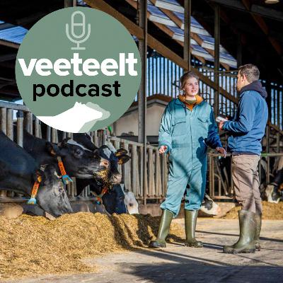 Bedrijfsovername financieel uitdagender, maar let ook op de zachte kant Bedrijfsovername financieel uitdagender, maar let ook op de zachte kant