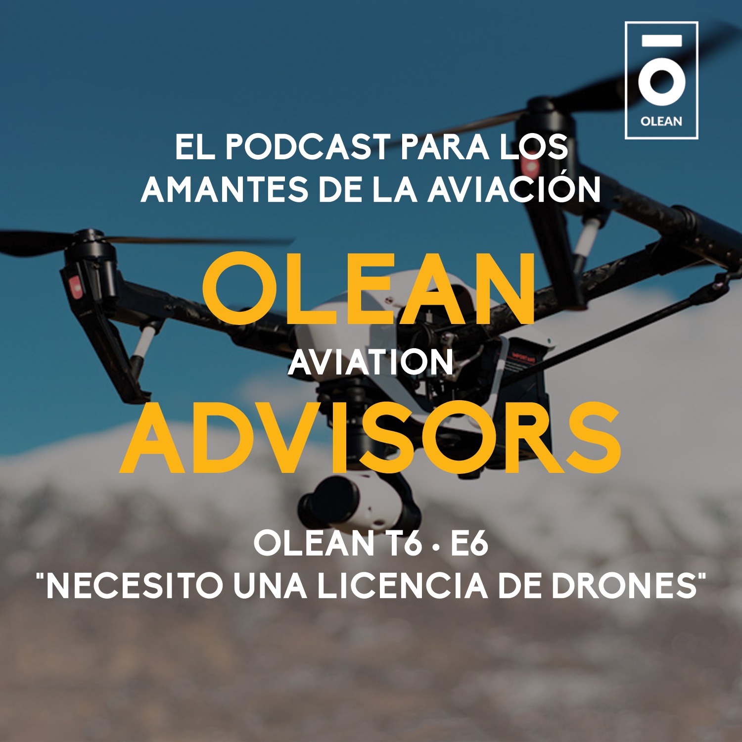 T6 · E6 - Necesito una licencia de drones episode artwork