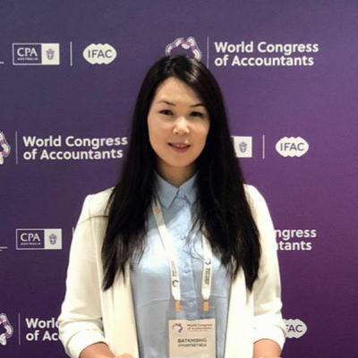 Who is an Accountant? Finance sector