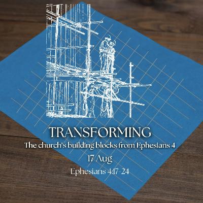 Transforming Transforming