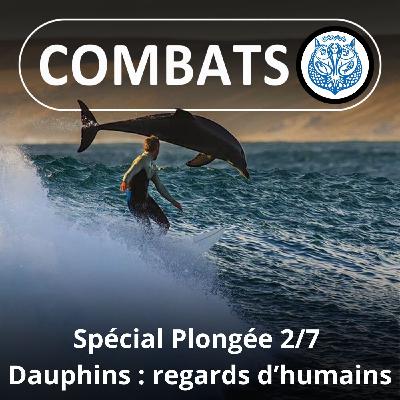 SPÉCIAL PLONGÉE 2/7 : Dauphins/humains, des relations souvent fantasmées