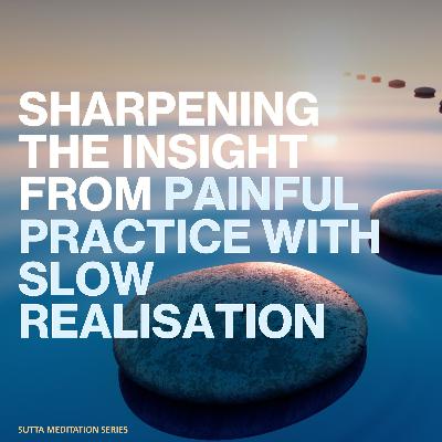 SHARPENING OUR INSIGHT FROM PAINFUL PRACTICE WITH SLOW REALISATION (Reverse contemplation)