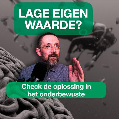 LAGE EIGEN WAARDE? [CHECK DEZE UNIEKE TEST & OEFENING]