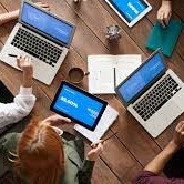 Software Developer Company