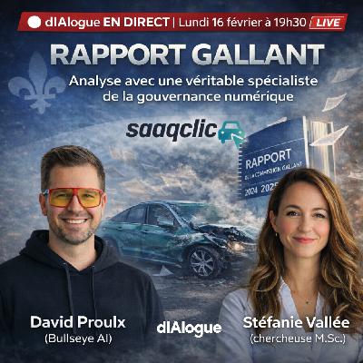 Rapport Gallant : Analyse avec Stéfanie Vallée véritable spécialiste de la gouvernance numérique Rapport Gallant : Analyse avec Stéfanie Vallée véritable spécialiste de la gouvernance numérique