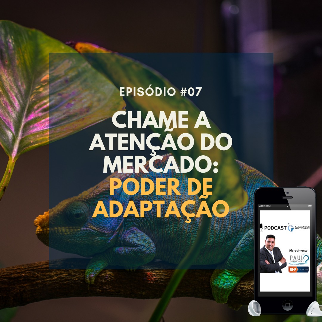 Alavanque Sua Carreira