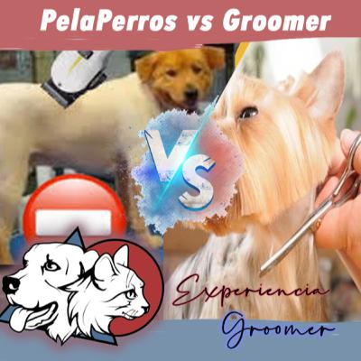 Episodio N°13 | Pelaperros vs Groomers