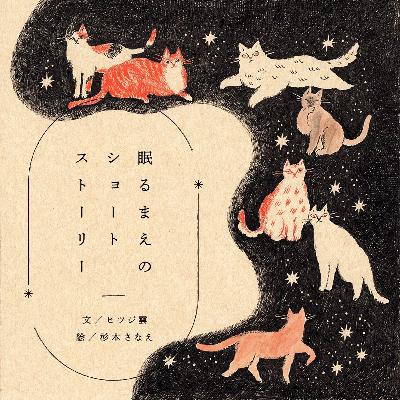 2507_流星群と猫(2025/7/31公開) 2507_流星群と猫(2025/7/31公開)