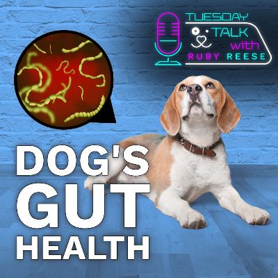 Dog's Gut Health