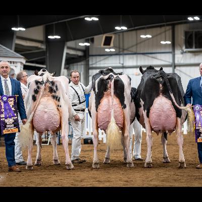 E526 The New York Spring Dairy Carousel 2026 E526 The New York Spring Dairy Carousel 2026