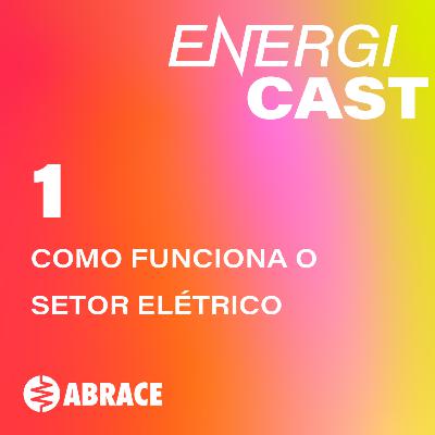 01 - Como funciona o setor elétrico