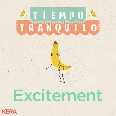 Excitement: The amusement park! Excitement: The amusement park!