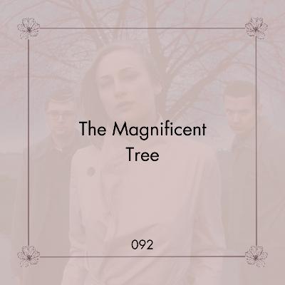 092. The Magnificent Tree | Deseo, entrega y dejar ir