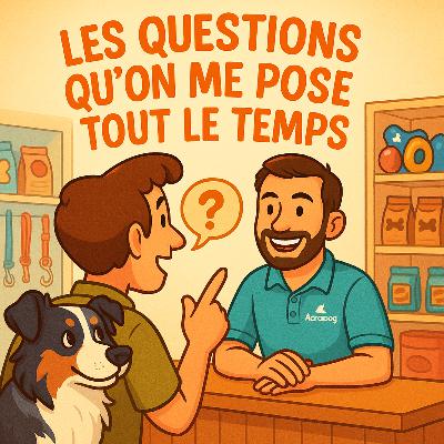 Les questions qu’on me pose tout le temps (et mes réponses)