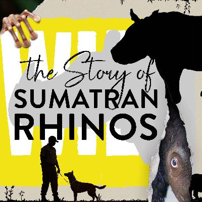 The Hairy Rhino Problem The Hairy Rhino Problem