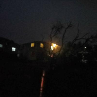 La historia del bosque y los secretos de la cabaña