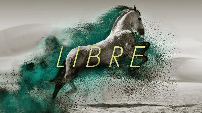 Libre Parte 3