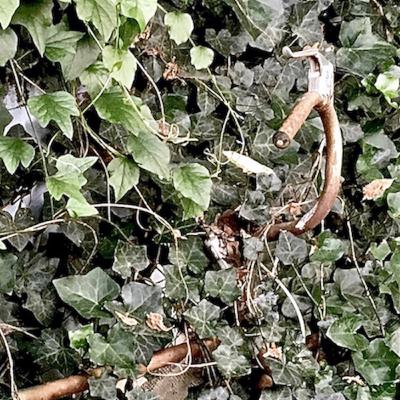 Episode 8: Part II: Widows, The Fatherless and Worship, Oh Why? Episode 8: Part II: Widows, The Fatherless and Worship, Oh Why?