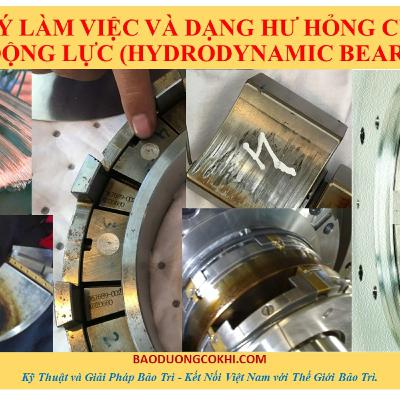 Nguyên lý làm việc và dạng hư hỏng của ổ trục thủy động lực (Hydrodynamic Bearings): Phần 2-1