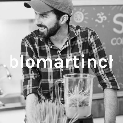 LOS 5 ERRORES MÁS COMUNES AL CONSUMIR SEMILLAS 😱 By Pablo Martin Chef LOS 5 ERRORES MÁS COMUNES AL CONSUMIR SEMILLAS 😱 By Pablo Martin Chef