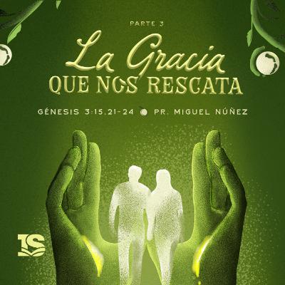 La gracia que nos rescata