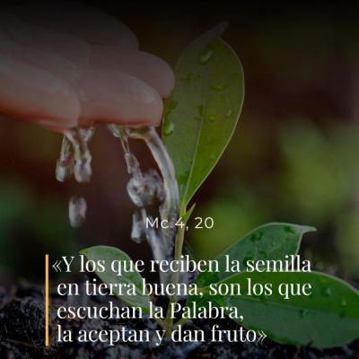 Marcos 4, 1-20 – III Miércoles del Tiempo Ordinario Marcos 4, 1-20 – III Miércoles del Tiempo Ordinario
