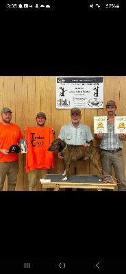 Talking dogs with Robert Martin