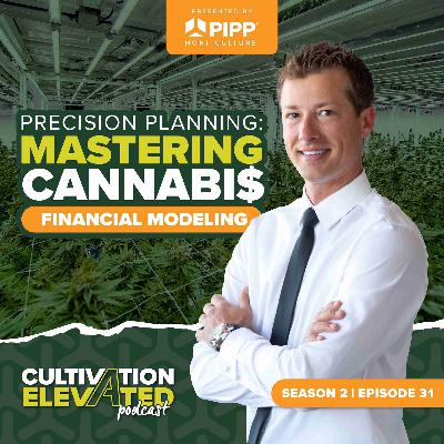031 - Precision Planning: Mastering Cannabis Financial Modeling