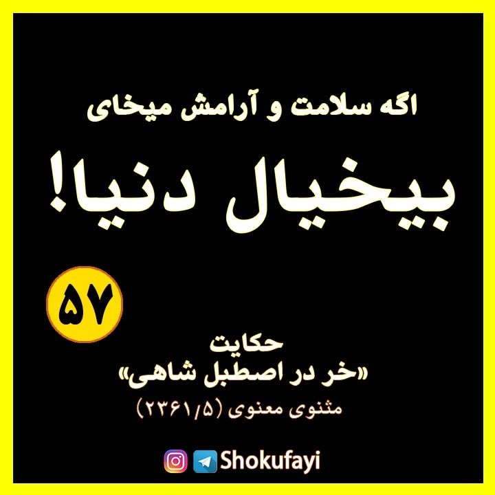 اگه سلامت و آرامش می‌خوای بیخیال دنیا!