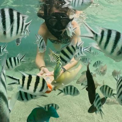 Episode 150 - Lombok Cruise Port Guide: The Perfect Day Trip to Waterfalls & the Gili Islands