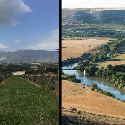 Rioja vs Ribera del Duero: do you know the difference?