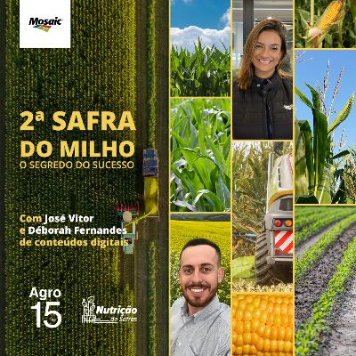 [Agro15] - 2ª Safra do milho: O segredo do sucesso.