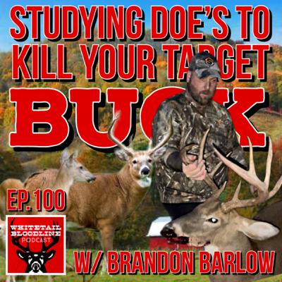 100 | Studying Doe’s To Kill Your Target Buck W/ Brandon Barlow | North Carolina Whitetail Hunting