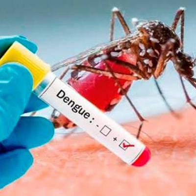 Así afecta el dengue en mi comunidad