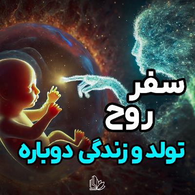 چطور زندگی بعدیمون رو انتخاب میکنیم؟