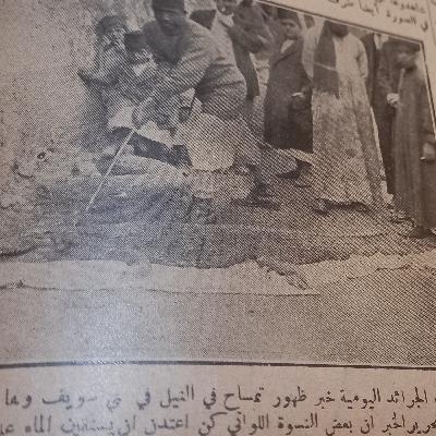 التمساح أسامة وواقعة نهر بنى سويف ١٩٢٣