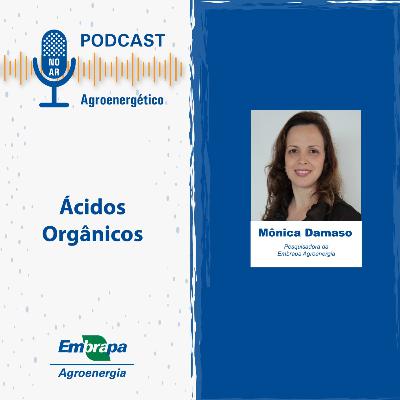 Ácidos Orgânicos - Mônica Damaso