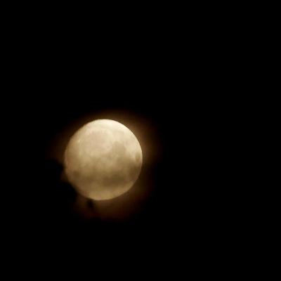 Dream interpretation