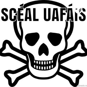 Scéal Taibhsí
